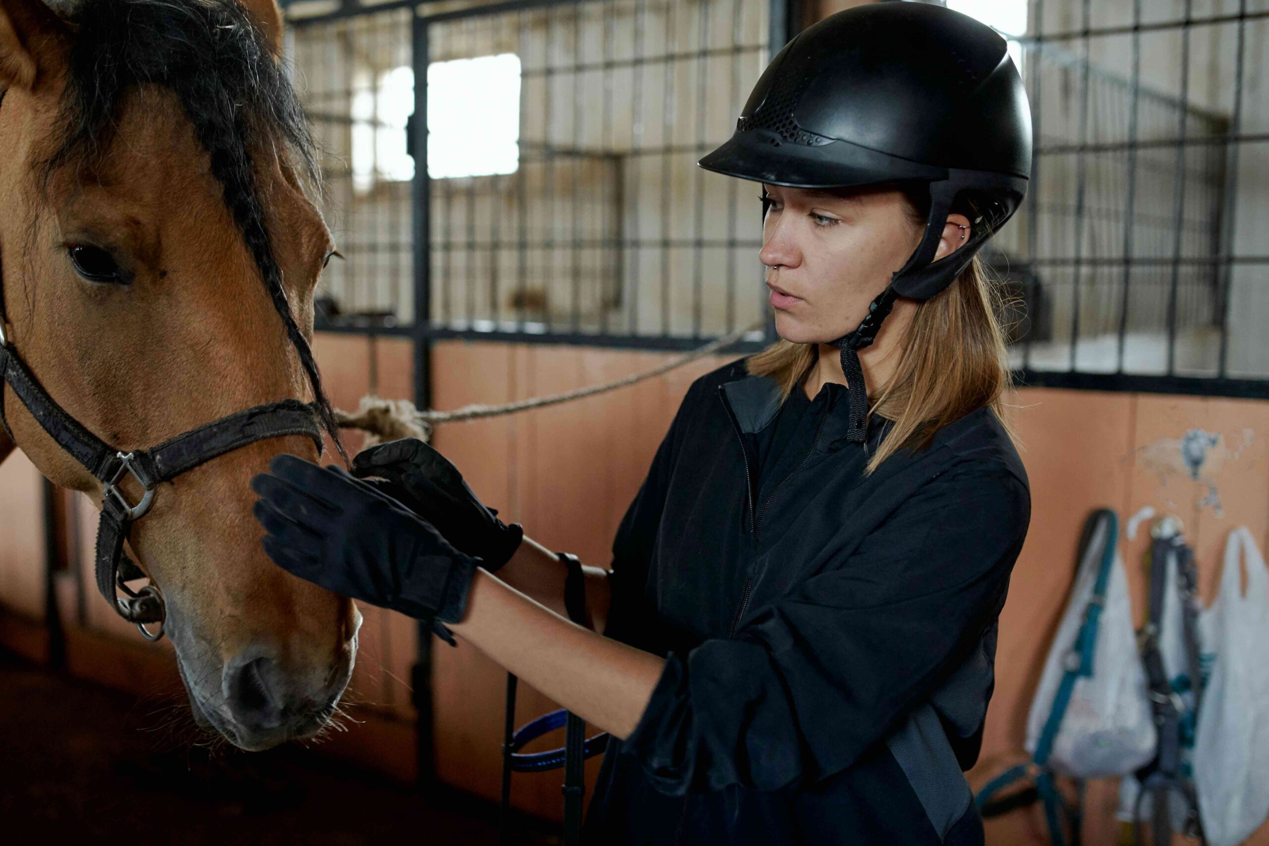 Seminare für Pferd und Reiter