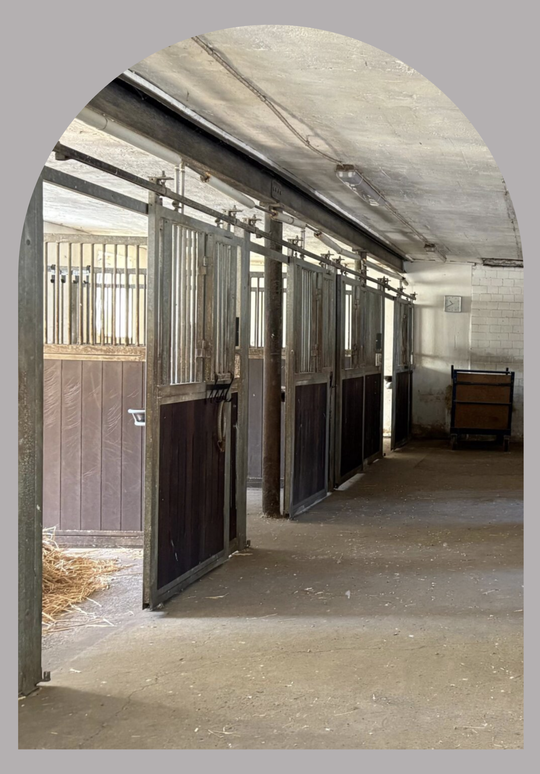 Stallgasse Website Loebnitz
